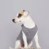 Pull Fin Pour Chien Agnes -Hariet & Rosie body agnes 2