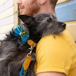 Noeud Papillon Pour Chien Shuka Blue 8 Noeud Papillon Pour Chien Shuka Blue -Hariet & Rosie bowtie 621x621 06539c95 8a13 4e9c b5b3 6f21f0c90d94