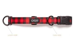 Collier Pour Chien Buffalo (2 Couleurs) -Hariet & Rosie buffalo