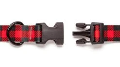 Collier Pour Chien Buffalo (2 Couleurs) -Hariet & Rosie buffalo2