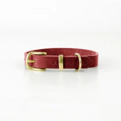Collier Pour Chien En Cuir Souple The Classic -Hariet & Rosie butter dog collar chili red