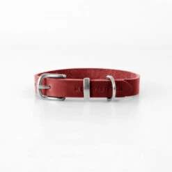 Collier Pour Chien En Cuir Souple The Classic -Hariet & Rosie butter dog collar chili red 85f38e12 99cf 4ddd baa0 19187e81ad6a