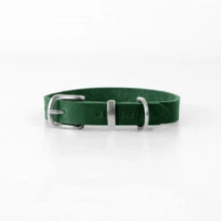 Collier Pour Chien En Cuir Souple The Classic -Hariet & Rosie butter dog collar forest green 08f3e88f fa38 4ab2 8695 aa3e45bb41b1