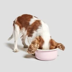 Bol Pour Chien En émail Granny -Hariet & Rosie cloud7 dog bowl granny ros dog 2