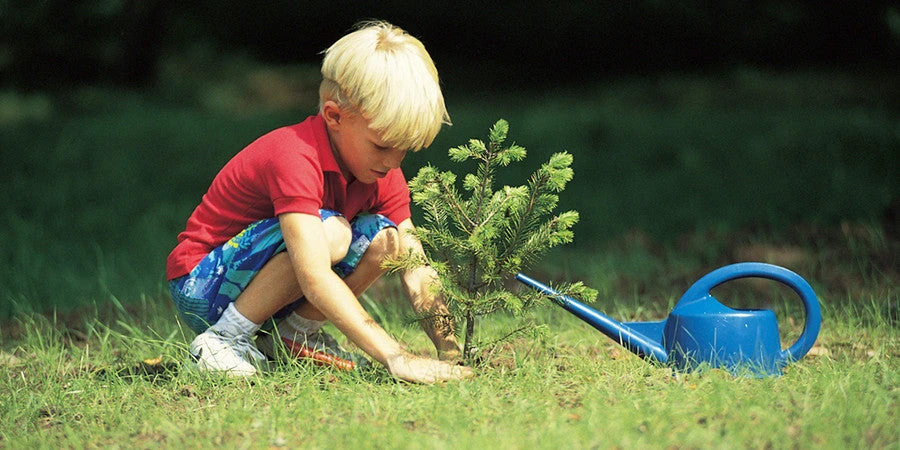 Nidoo, L'arbre Après La Vie 7 Nidoo, L'arbre Après La Vie – Image 5
