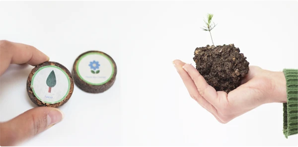 Nidoo, L'arbre Après La Vie 5 Nidoo, L'arbre Après La Vie – Image 3