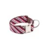 Collier Pour Chien Calella -Hariet & Rosie collar estampado raya marinera textura calella