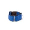 Collier Martingale +laisse Aiguaviva Pour Lévrier Galgo/greyhound 2 Collier Martingale +laisse Aiguaviva Pour Lévrier Galgo/greyhound -Hariet & Rosie collar para perro brottdog textura aiguaviva3