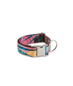 Laisse Pour Chien JUIA 5 Laisse Pour Chien JUIA -Hariet & Rosie collar para perro brottdog textura juia 35455a76 ff1a 4179 bc9f b4a4fac5d0a9