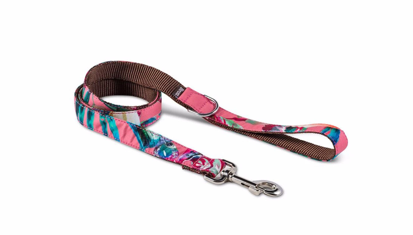 Laisse Pour Chien JUIA 3 Laisse Pour Chien JUIA