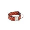 Collier Pour Chien ER -Hariet & Rosie collar para perros textura er brott