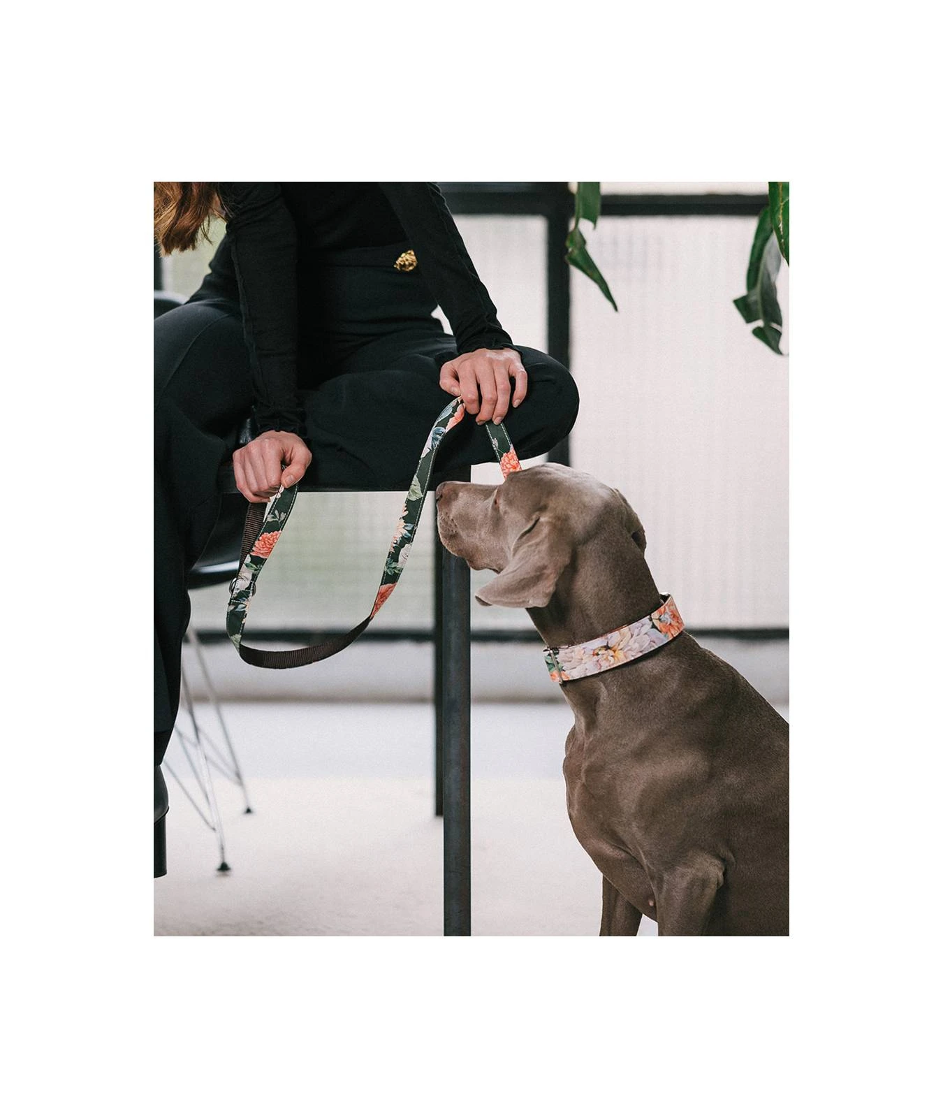 Laisse Pour Chien Espelt 4 Laisse Pour Chien Espelt – Image 2