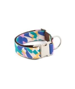 Laisse Pour Chien Montroig -Hariet & Rosie collar perro estampado textura montroig