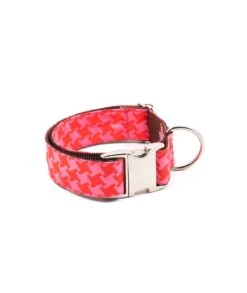 Collier Pour Chien Mirallès