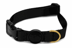 Collier Pour Chien Gold Caviar -Hariet & Rosie collare gold caviar header top transparent b 1683bc6d e83f 4fee 9002 ea3b91c3db3d