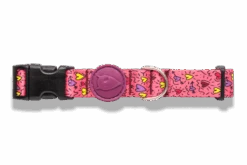 Collier Pour Chien Pink Think -Hariet & Rosie collare pink think header top transparent b