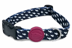 Collier Pour Chien Power Flow