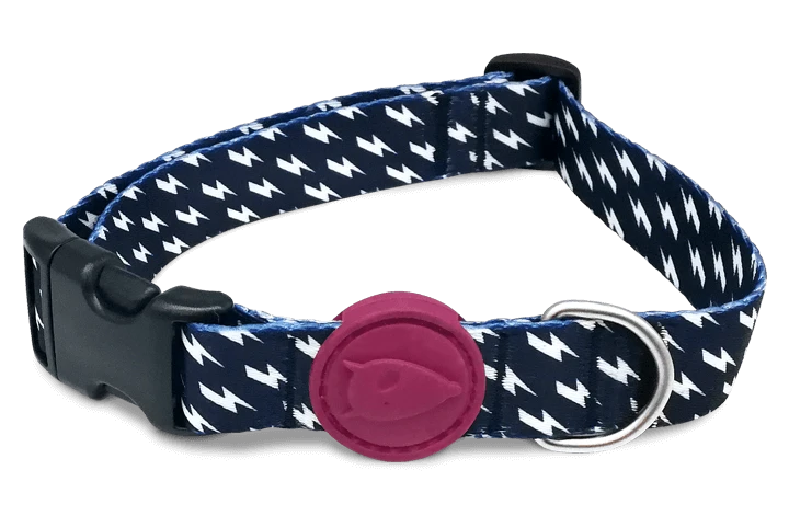 Collier Pour Chien Power Flow 3 Collier Pour Chien Power Flow