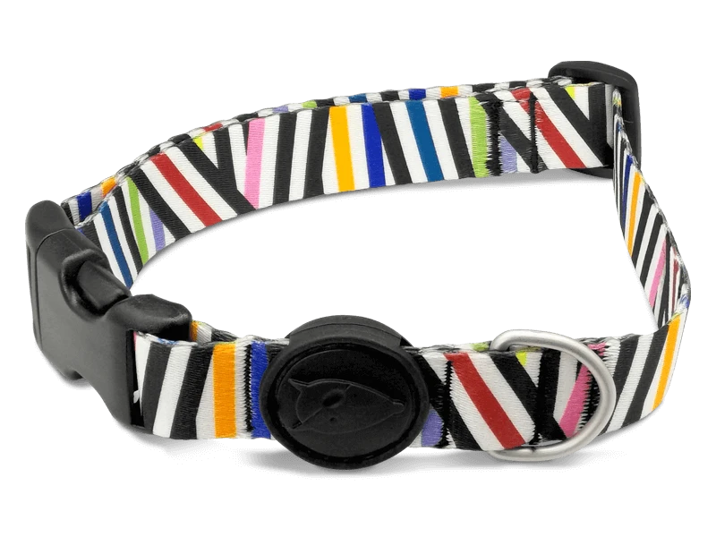 Collier Pour Chien Spaghetti 4 Collier Pour Chien Spaghetti – Image 2