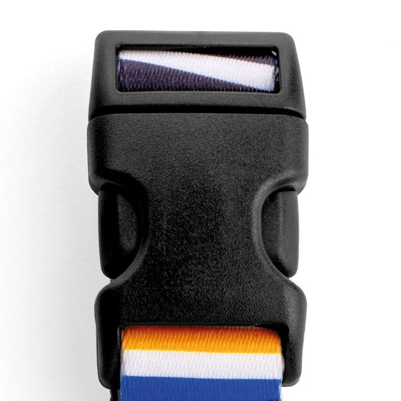 Collier Pour Chien Spaghetti 5 Collier Pour Chien Spaghetti – Image 3