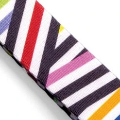 Collier Pour Chien Spaghetti 9 Collier Pour Chien Spaghetti -Hariet & Rosie collare spaghetti incident mini gallery 03 v2