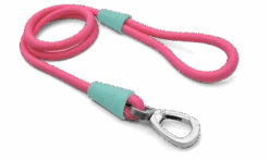 Laisse Pour Chien En Corde Morso -Hariet & Rosie corda fucsia gommino celeste