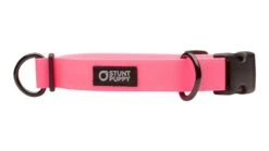 Collier Pour Chien Imperméable En Biothane