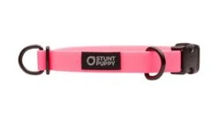 Collier Pour Chien Imperméable En Biothane -Hariet & Rosie dcs pink 1024x1024 4460f0f5 d272 4aa8 986b 531092d33aae