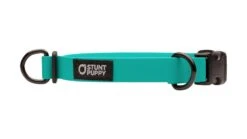 Collier Pour Chien Imperméable En Biothane -Hariet & Rosie dcs teal 1024x1024 5b11fb85 3252 4a40 81e3 b6118a7ac963