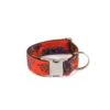 Collier Pour Chien Bohème Batea -Hariet & Rosie dog collar brottdog textura batea