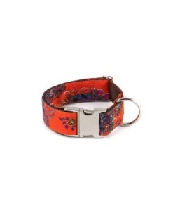 Collier Pour Chien Bohème Batea