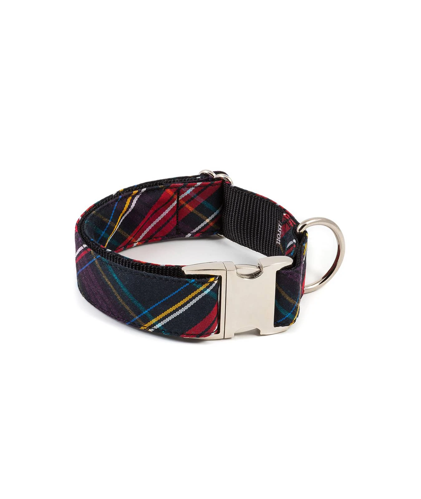 Collier Pour Chien écossais Cerdanya 3 Collier Pour Chien écossais Cerdanya