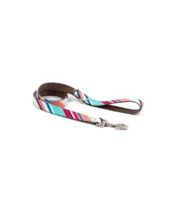 Collier Pour Chien Morisca Classique Et Martingale 8 Collier Pour Chien Morisca Classique Et Martingale -Hariet & Rosie dog collar brottdog textura morisca 42597f3d eb85 41f6 9727 3aaab72dddba