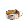 Collier Pour Chien Sacaleta Classique Et Martingale -Hariet & Rosie dog collar brottdog textura sacaleta