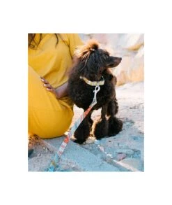 Collier Pour Chien Sacaleta Classique Et Martingale -Hariet & Rosie dog collar brottdog textura sacaleta f59139a8 7c6e 4333 a82d fb95e9084b7f