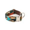 Collier Pour Chien Graphique Torms -Hariet & Rosie dog collar brottdog textura torms