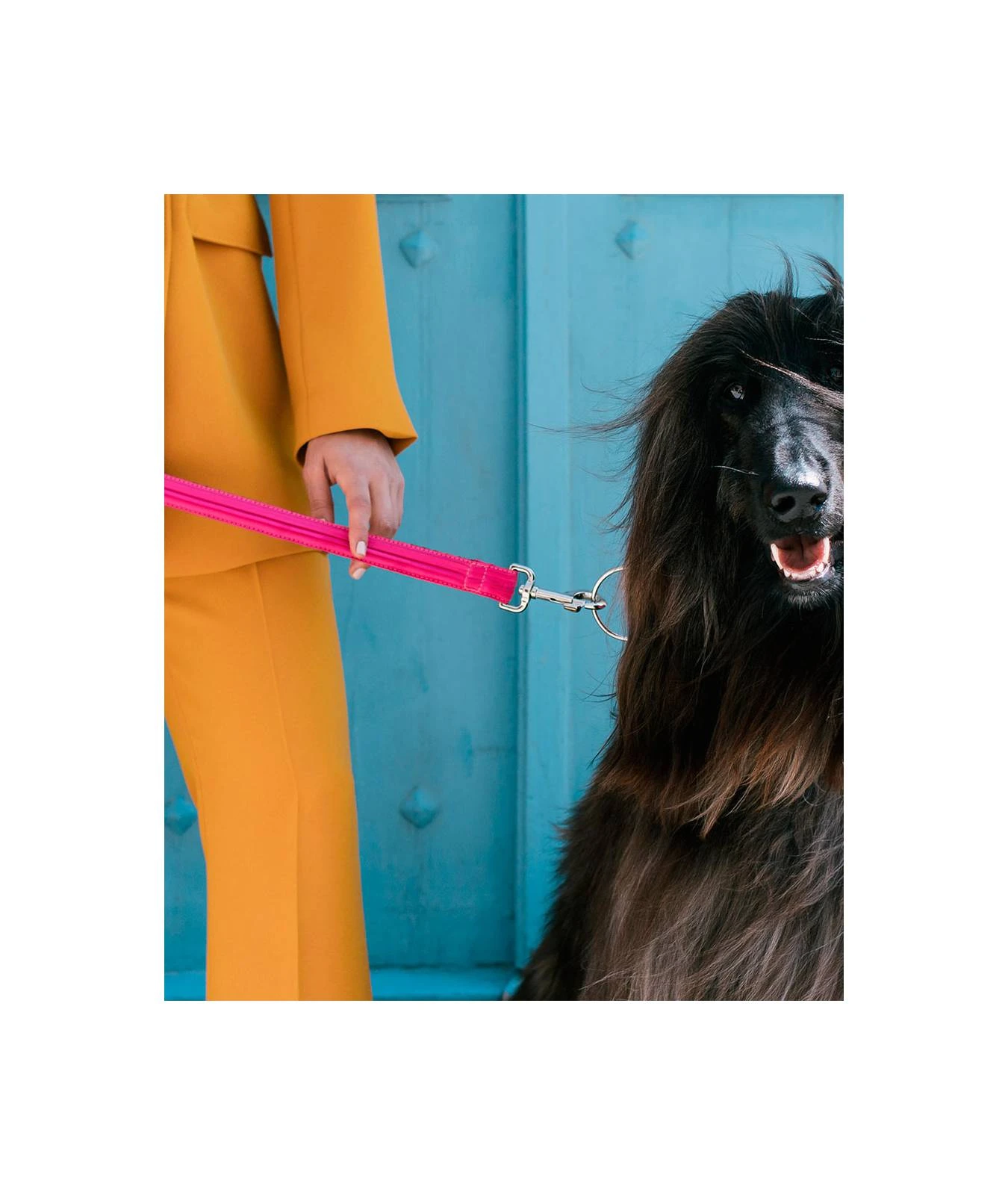 Laisse Pour Chien Plissée Rose Fushia Gandesa 4 Laisse Pour Chien Plissée Rose Fushia Gandesa – Image 2