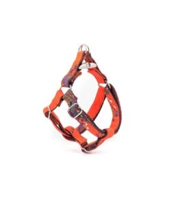 Harnais Parachute Batéa