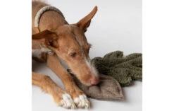 Peluches Pour Chien Feuilles D’arbre -Hariet & Rosie dog toy 03f6bc6f ecb4 4bd9 bf8c 62b0caeaa46b