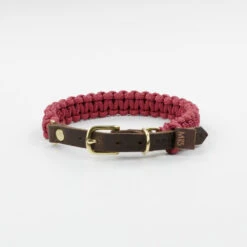 Collier Pour Chien En Corde Marine Sangle Cuir -Hariet & Rosie dsc 0224 1