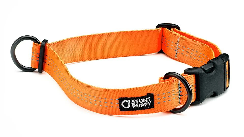 Collier Pour Chien Souple Everyday (3 Couleurs) 4 Collier Pour Chien Souple Everyday (3 Couleurs) – Image 2