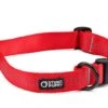 Collier Pour Chien Souple Everyday (3 Couleurs) -Hariet & Rosie edc red 1024x1024 f11139c9 f941 4d7a 84fa 1273235b75a3