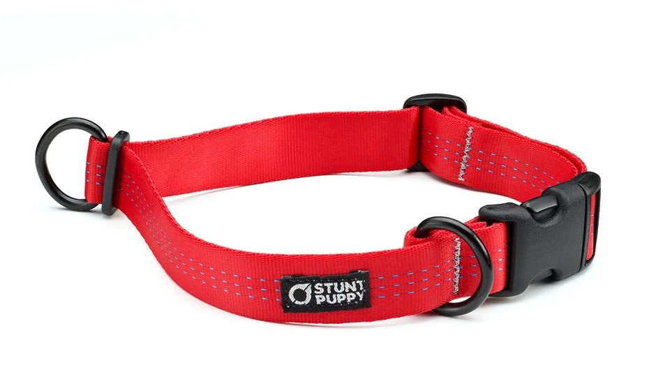 Collier Pour Chien Souple Everyday (3 Couleurs) 3 Collier Pour Chien Souple Everyday (3 Couleurs)