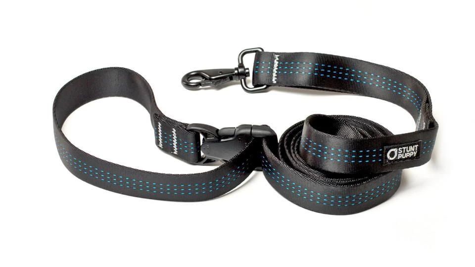 Laisse Souple Everyday (3 Couleurs) 4 Laisse Souple Everyday (3 Couleurs) – Image 2