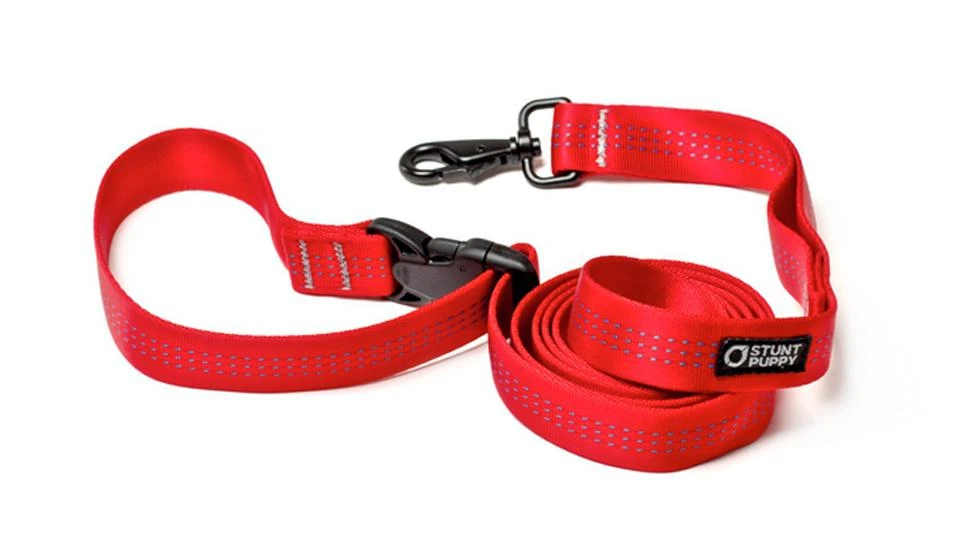 Laisse Souple Everyday (3 Couleurs) 3 Laisse Souple Everyday (3 Couleurs)