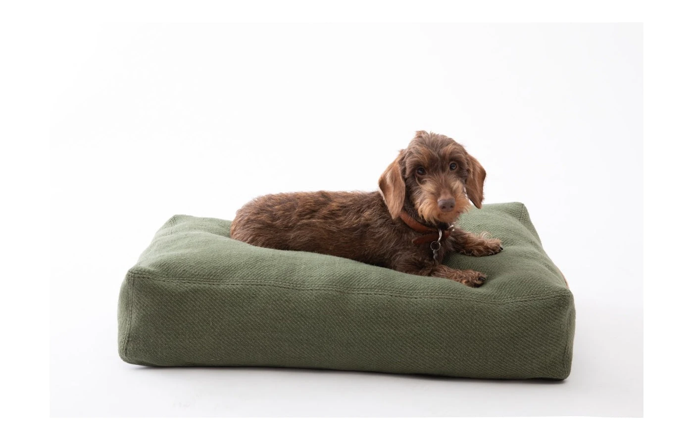 Coussin Pour Chien Elliott En Fibre De Jute (4 Couleurs) 7 Coussin Pour Chien Elliott En Fibre De Jute (4 Couleurs) – Image 5