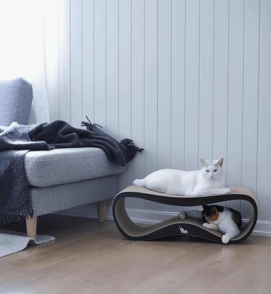 Griffoir Pour Chat Design LUI My Kotty 11 Griffoir Pour Chat Design LUI My Kotty – Image 9