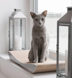 Griffoir En Carton Pour Chat Design TOBI 17 Griffoir En Carton Pour Chat Design TOBI -Hariet & Rosie eng pl Scratcher TOBI grey 74 9