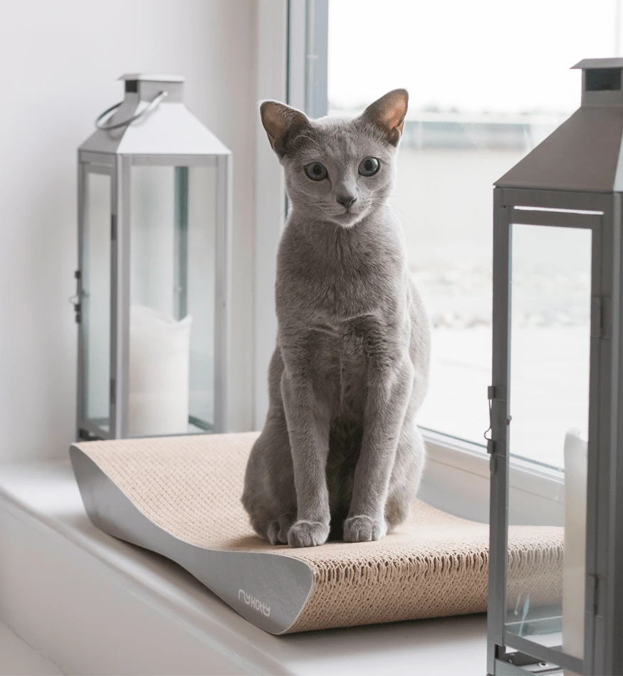 Griffoir En Carton Pour Chat Design TOBI 10 Griffoir En Carton Pour Chat Design TOBI – Image 8