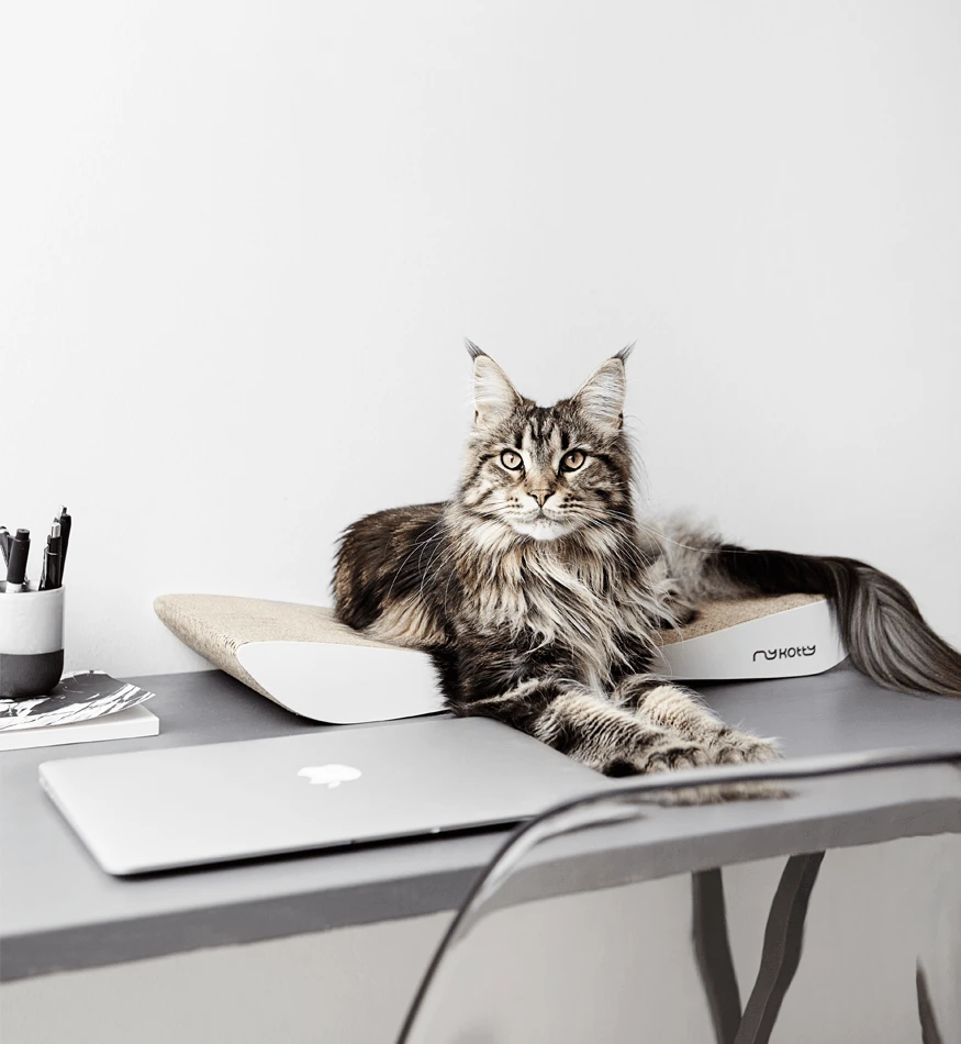 Griffoir En Carton Pour Chat Design TOBI 7 Griffoir En Carton Pour Chat Design TOBI – Image 5